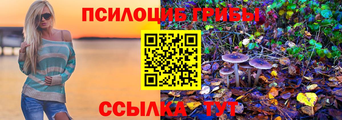 Галлюциногенные грибы мицелий Нижний Новгород
